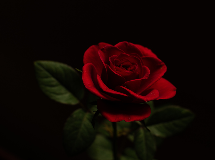 Space Background, Motivating, Typographic and Simple Phone Wallpaper (1)